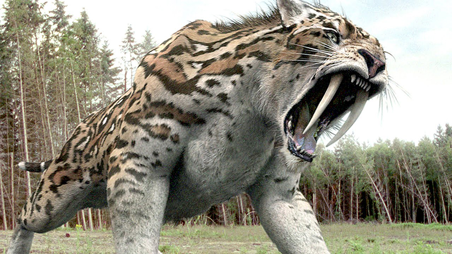 9 Extinct Animals That Could Be Resurrected One Day Paleontology World
